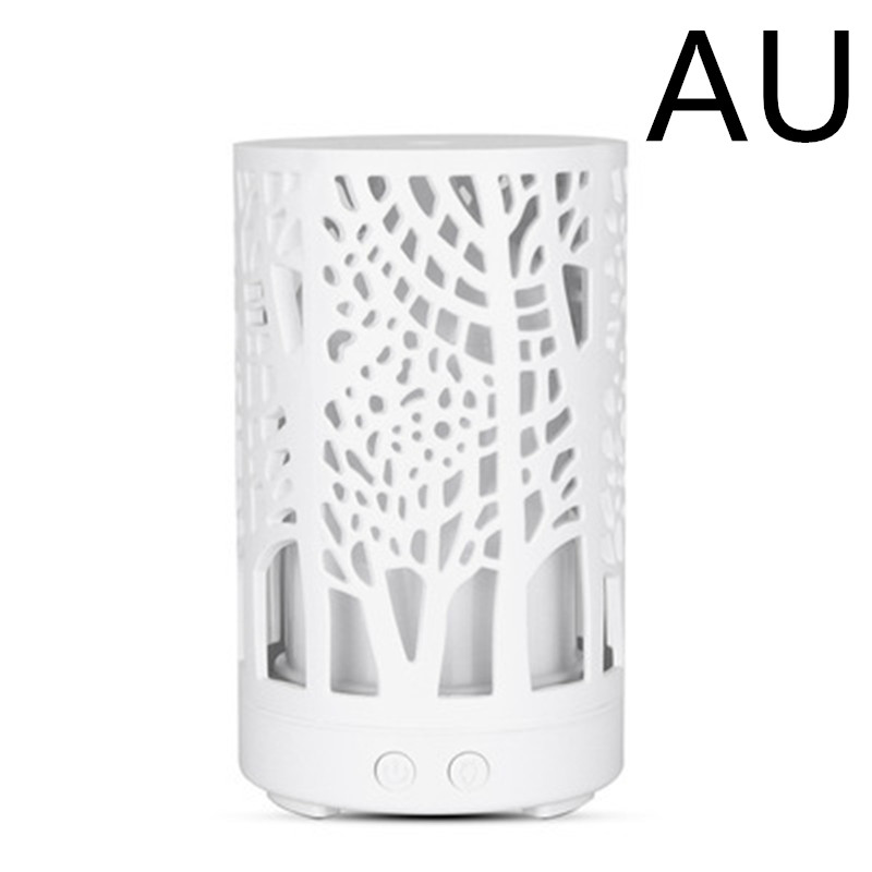Diffuseur blanc — visuel de la prise AU
